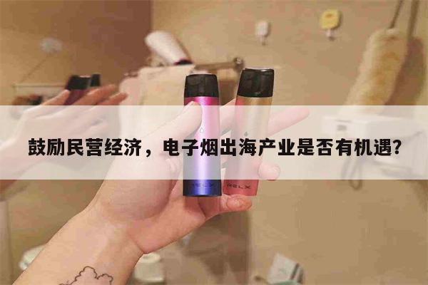 鼓励民营经济，电子烟出海产业是否有机遇？-第1张图片-电子烟烟油论坛