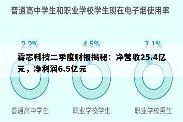 雾芯科技二季度财报揭秘：净营收25.4亿元，净利润6.5亿元