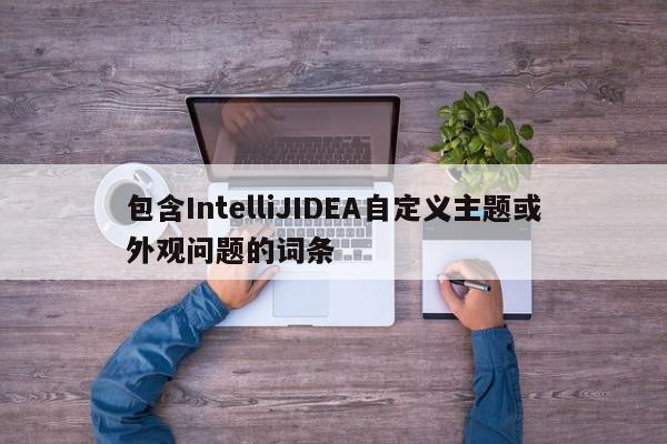 包含IntelliJIDEA自定义主题或外观问题的词条