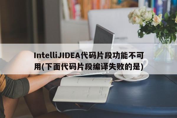 IntelliJIDEA代码片段功能不可用(下面代码片段编译失败的是)