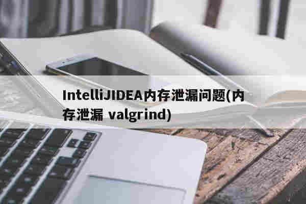 IntelliJIDEA内存泄漏问题(内存泄漏 valgrind)