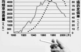 电子雾化器 肺吸 伤害  电子烟雾化器可以过肺吗